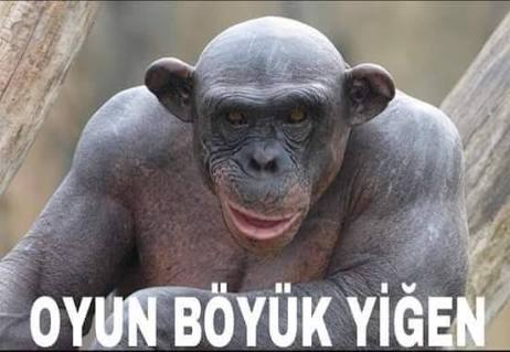 oyun-boyuk-yigen_1686994