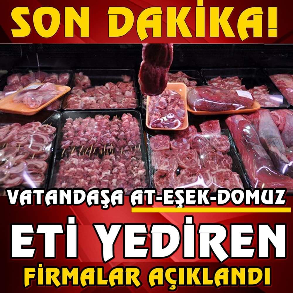 Vatandaşa Habersiz at ve domuz eti yediren firmalar açıklandı..