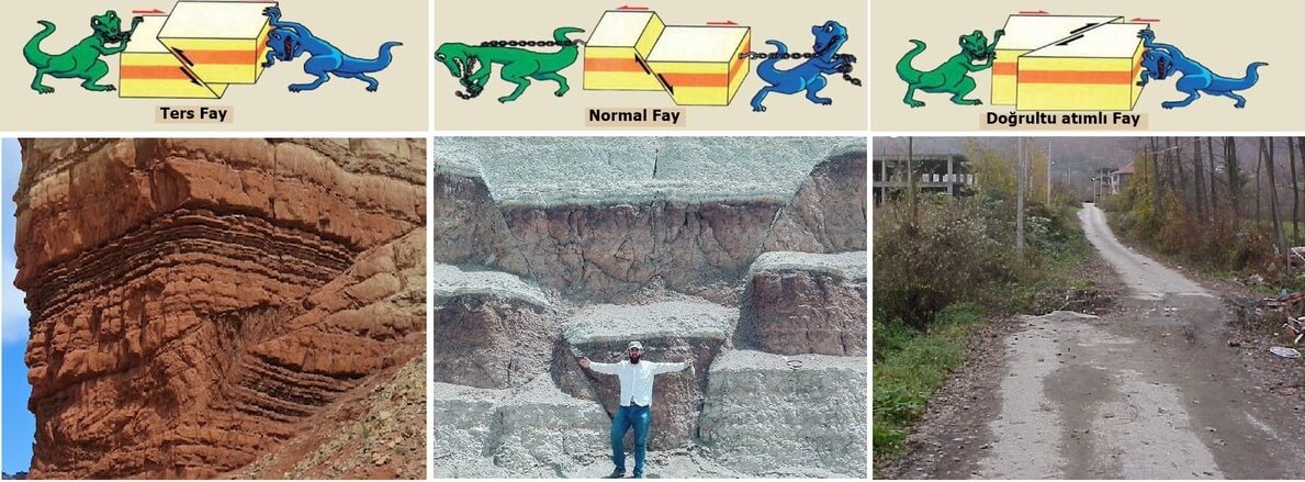 Diri Fay Nedir?