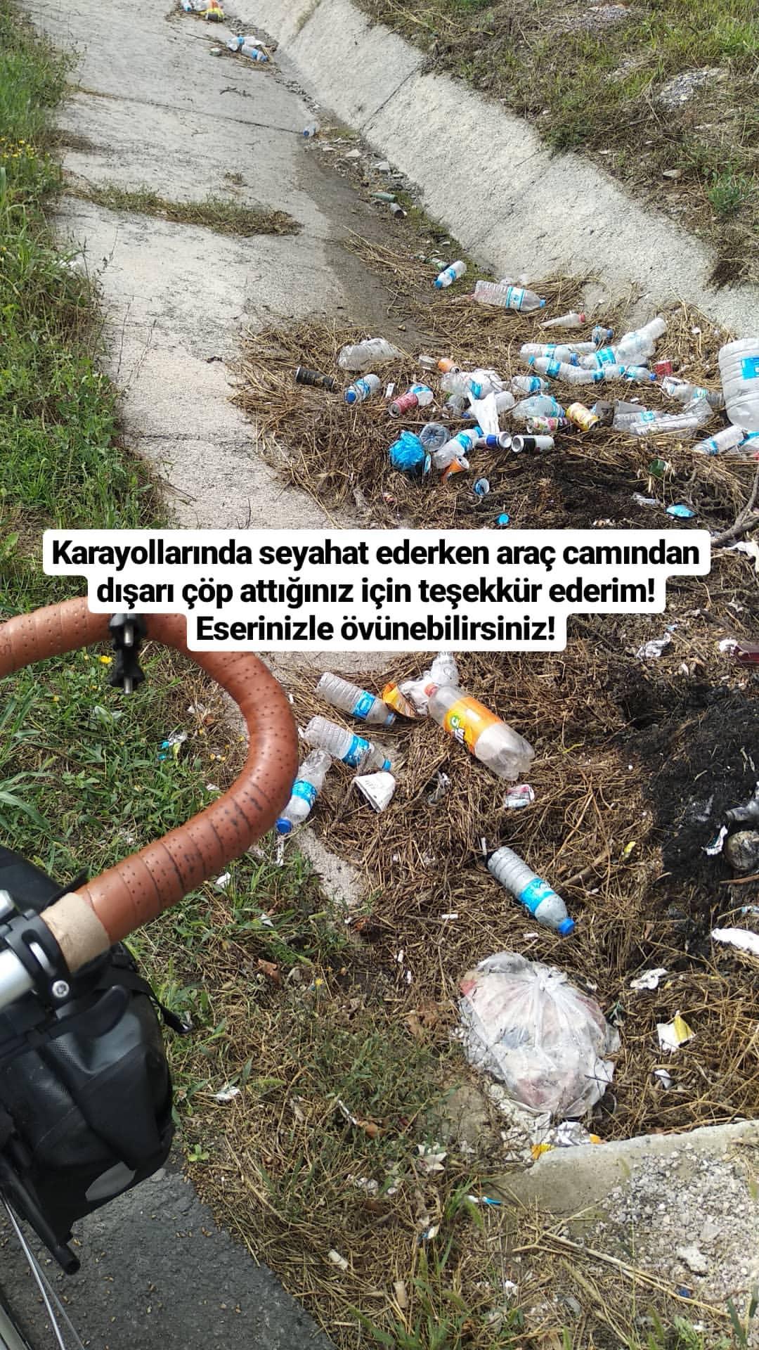 Karayollarına çöp atan davarlar